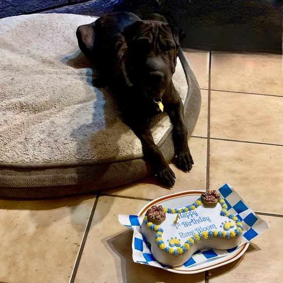 My Kids are Big Boys Now! - Picture 3 of 4